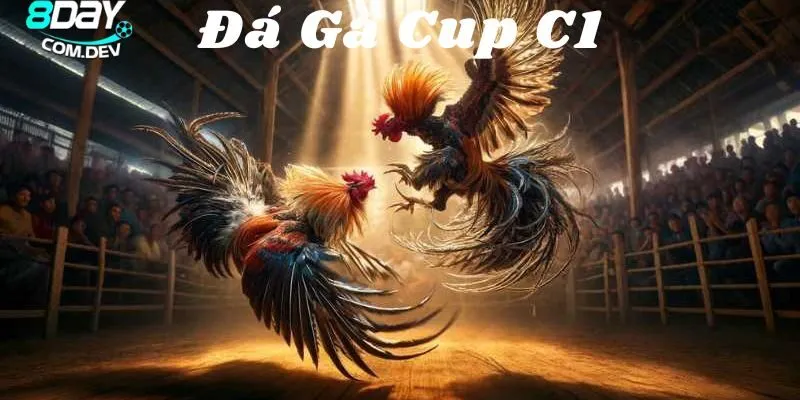 Đá Gà Cúp C1 – Những Chiến Thuật Đỉnh Cao Dành Cho Người Chơi 5 Phương pháp tập luyện đơn giản và hiệu quả