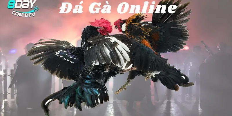 Đá Gà Online – Cách Chơi Và Những Kinh Nghiệm Hữu Ích 5 Bí quyết thắng lớn từ các chuyên gia hàng đầu