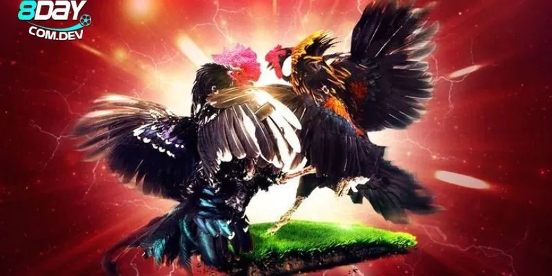 Đá Gà Online – Cách Chơi Và Những Kinh Nghiệm Hữu Ích 3 Nắm rõ các bước chơi nhanh chóng để giành chiến thắng